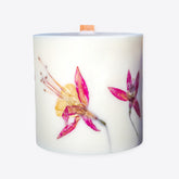 Botanische Kerzen – 630 g – Divo – Baba Yaga