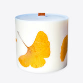 Botanische Kerzen – 630 g – Ginkgo – Baba Yaga
