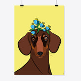 Dackel «Ida» Poster/Plakat