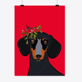 Dackel «Herr Schüch» Poster/Plakat