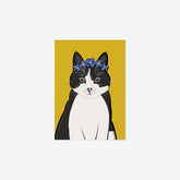 Katze «Zorbas» Postkarte A6