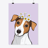 Hund – Jack Russell Terrier «Oskar» Poster/Plakat