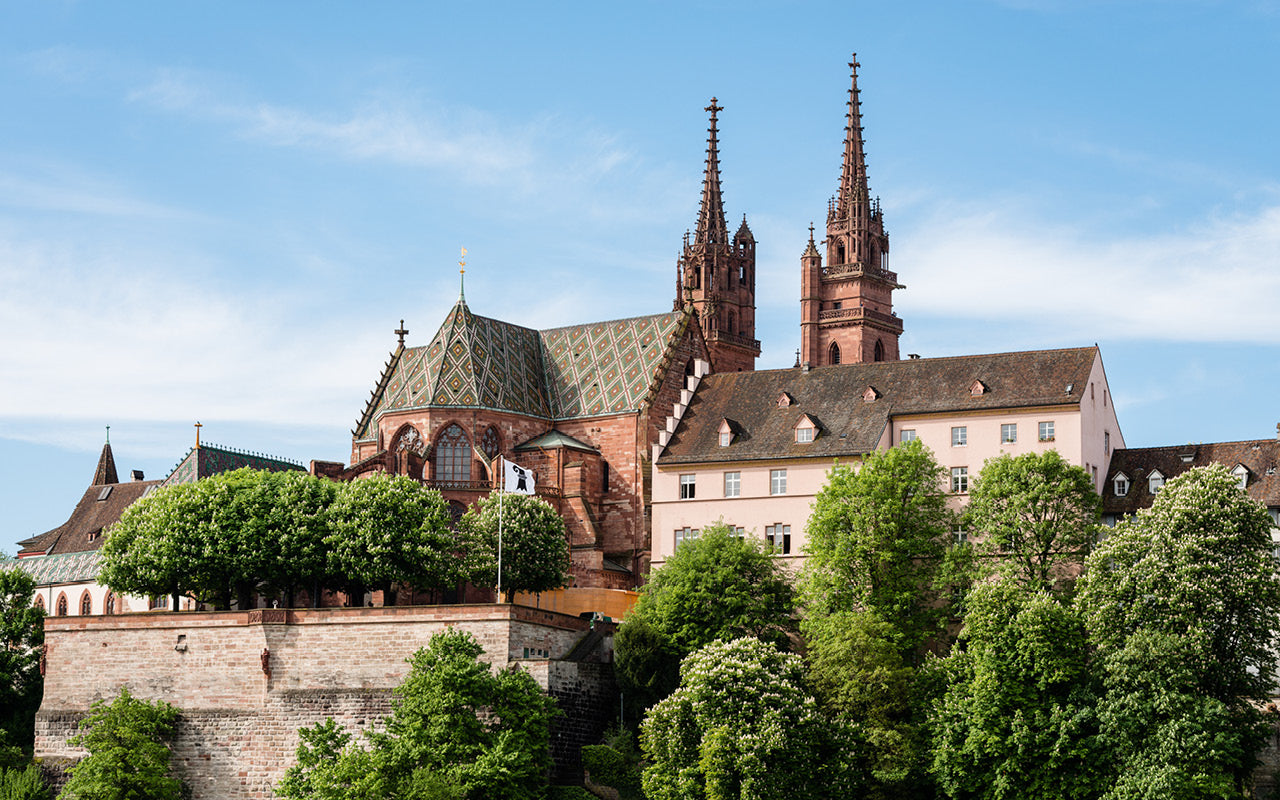 Basel Münster