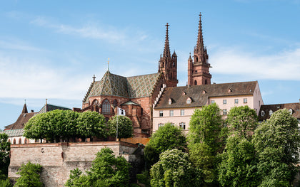 Basel Münster