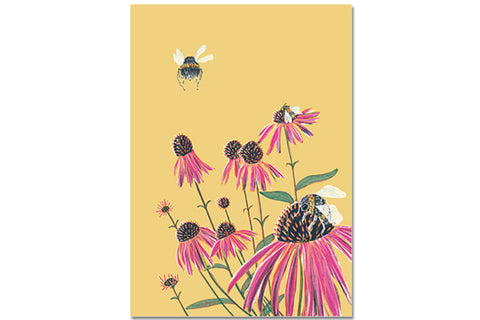 Echinacea – Postkarte – Mare di Maria