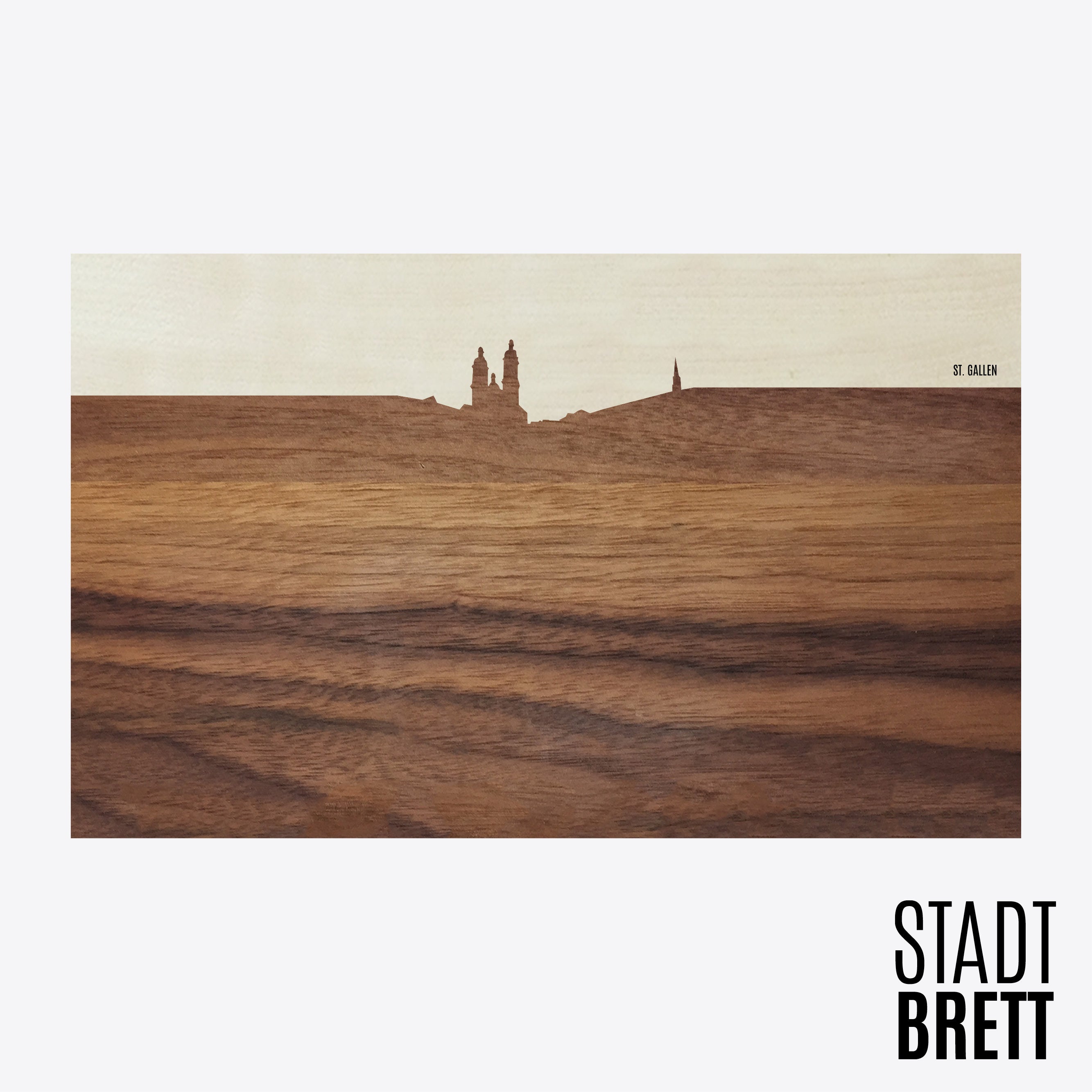 Saint-Gall – StadtBrett – Cathédrale