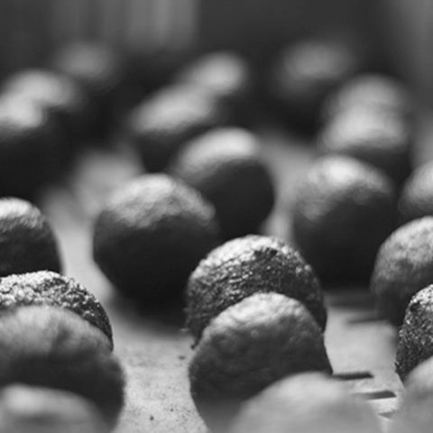 Seedball – Produktion