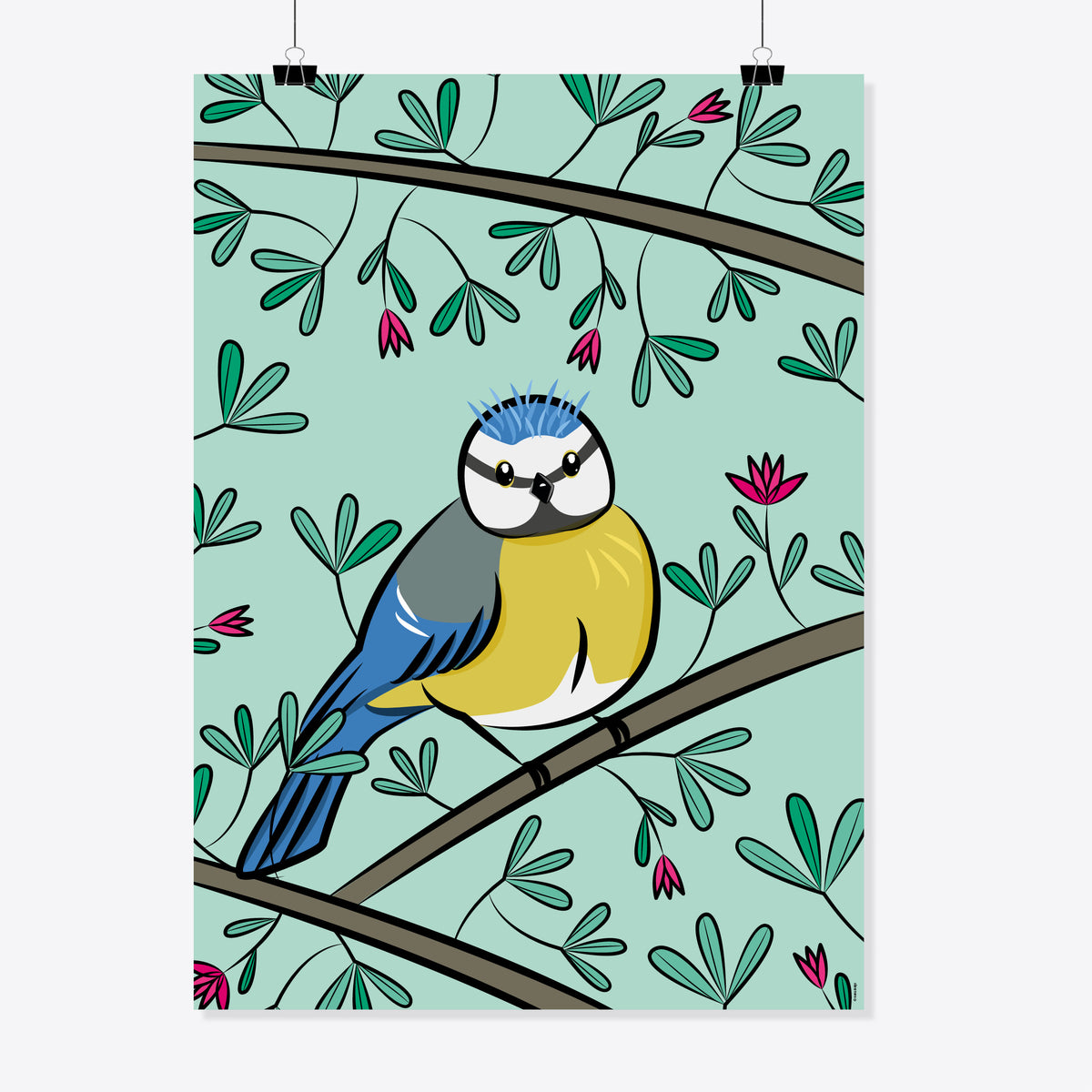 Blaumeise «Sam» Poster/Plakat