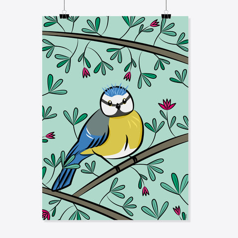 Blaumeise «Sam» Poster/Plakat