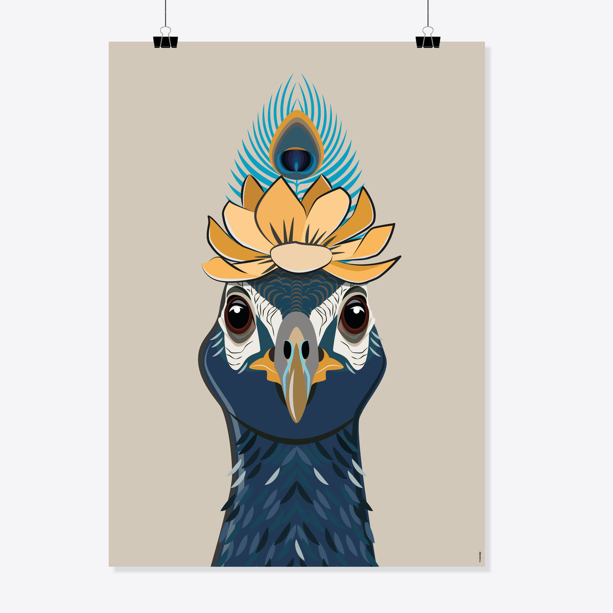 Pfau «Coco» Poster/Plakat