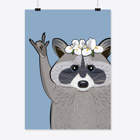 Waschbär «Pedro» Poster/Plakat