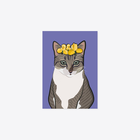 Katze – Bonita «Königin von Rieden» – Postkarte