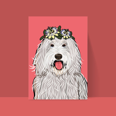 Hund – Bergamasker «Timi» Postkarte A6