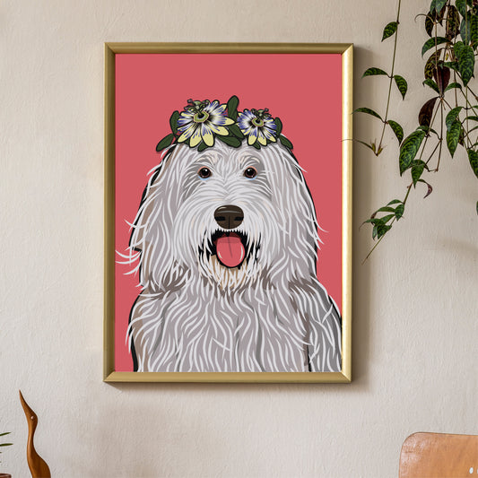 Hund – Bergamasker «Timi» Poster/Plakat