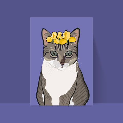 Katze – Bonita – Bildkarte A5