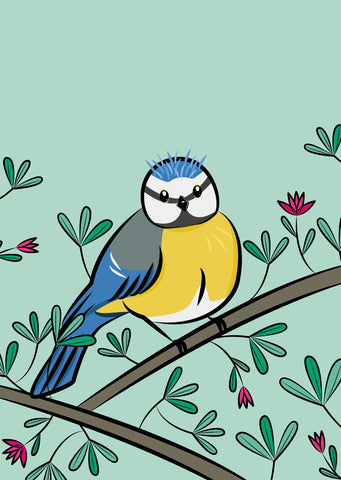 Bluetit – "Sam" – Postcard