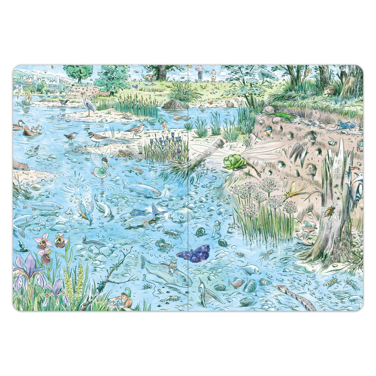 Das Fluss Wimmelbuch – Doppelseite mit Fischen, Wasserpflanzen und Tieren unter und über Wasser
